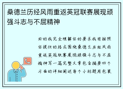桑德兰历经风雨重返英冠联赛展现顽强斗志与不屈精神